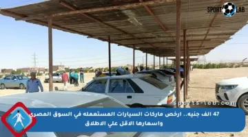 47 ألف جنيه.. أرخص ماركات السيارات المستعملة في السوق المصري وأسعارها الأقل على الإطلاق